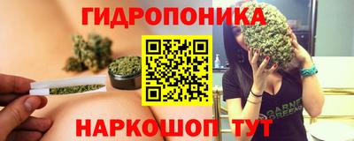 прущий лед Гай