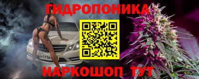 ALPHA PVP Гатчина