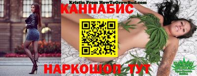 PSILOCYBIN Будённовск