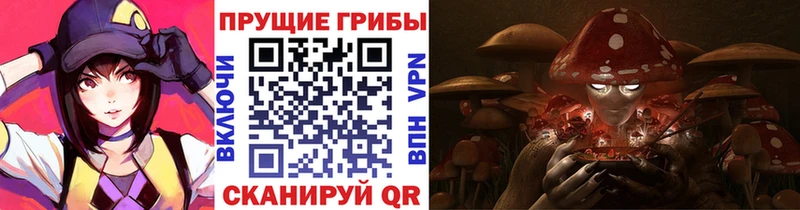 мориарти как зайти  Ирбит  Галлюциногенные грибы Psilocybine cubensis  kraken как зайти 