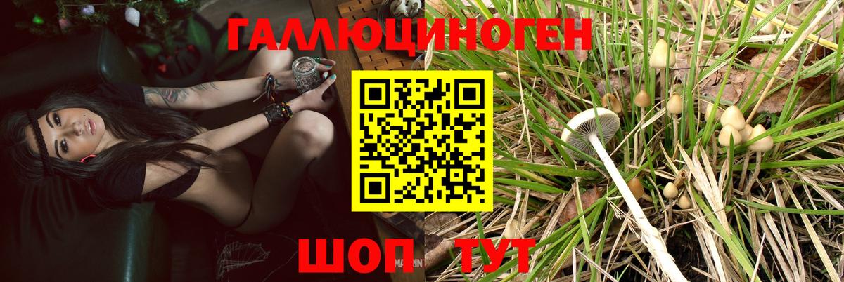 хочу наркоту  Ирбит  Псилоцибиновые грибы ЛСД 