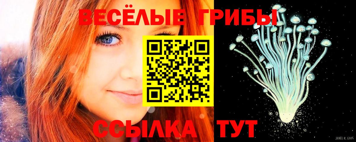 Псилоцибиновые грибы Magic Shrooms Ирбит